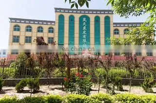 Hengshui Lantian Fur Trading Co., Ltd. company overview - view 1
