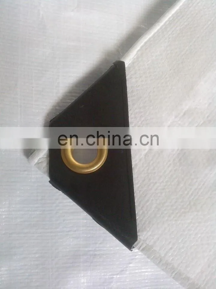 WHITE HEAVY DUTY TARPAULIN, PE CANVAS, KOREA STANDARD
