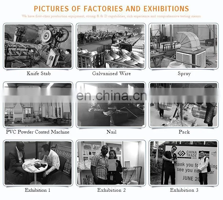 Cone wire mesh strainer/Stainless steel tumbler wire mesh cone filters