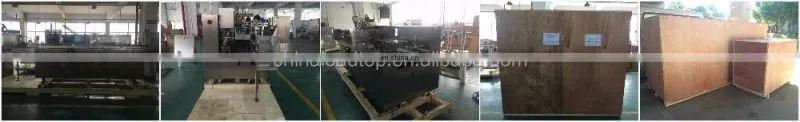 ZH-100 Automatic Horizontal Aluminum Roll Cartoning Machine