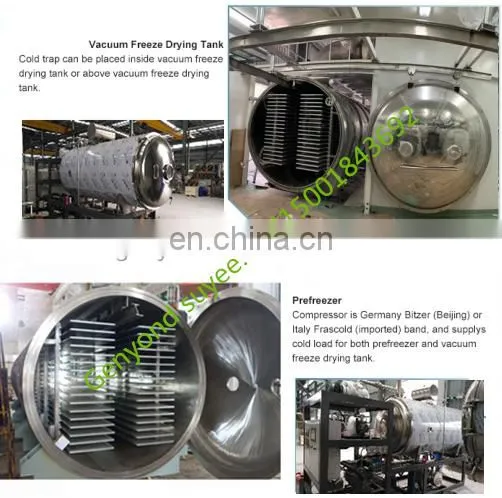 lyophilizer for food freeze vacuum drying processing