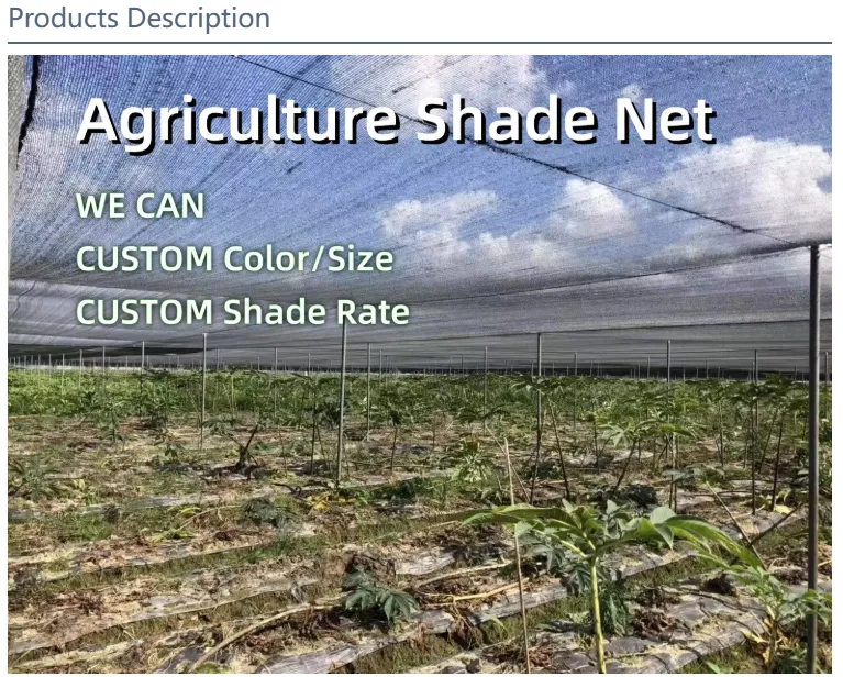 shade net 6