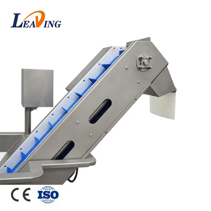 10-Conveyor-Unit