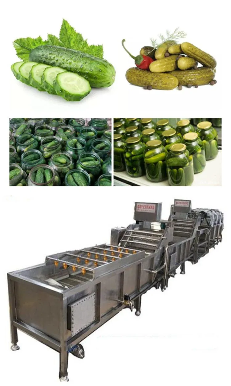 Complete Canned Mushroom Production Line