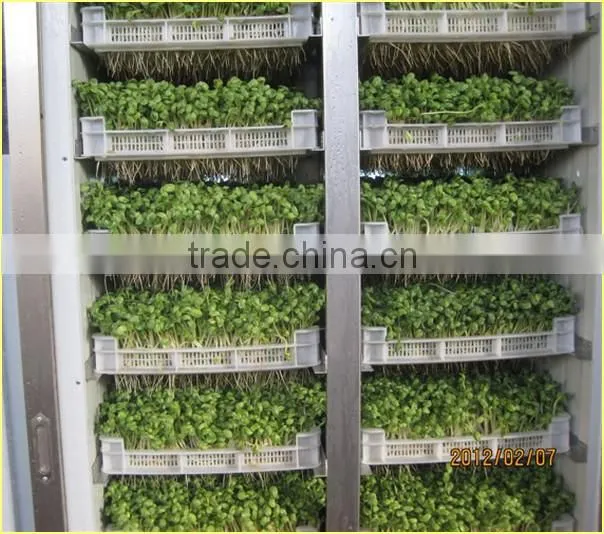 Black Bean Sprouts Making Machine | Green Mung Bean Sprouting Machine