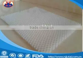 PP Honeycomb Panels