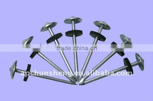 galvanized roofing nails with umbrella head