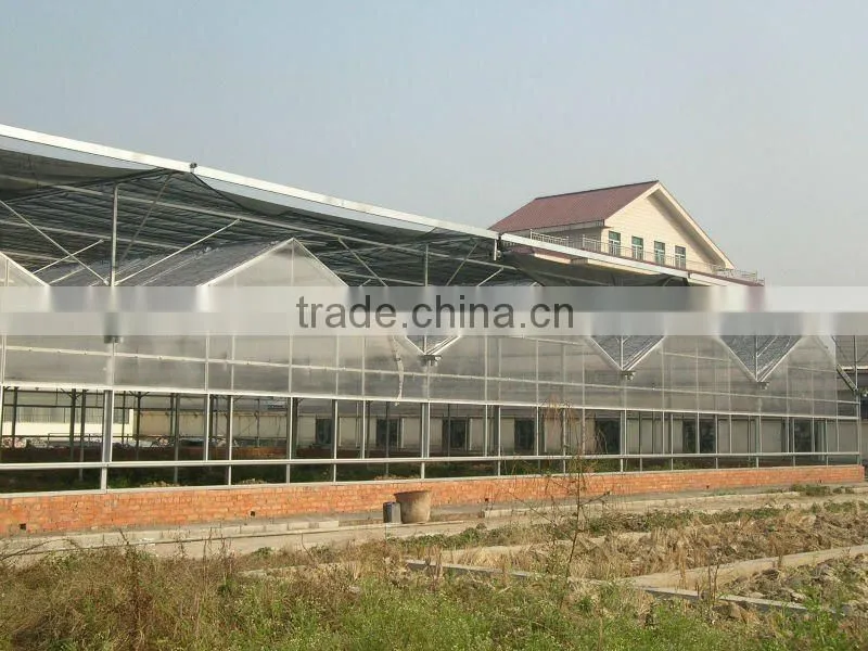 greenhouse sale for vegetables