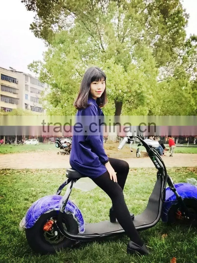 2 wheel electric mobility scoote;foldable 500w electric scooter;fat tire scooter