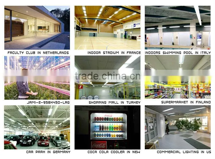 LED Linear Lighting Fixture led lights