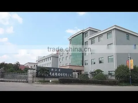 Zhejiang Dongyang Yongmin Rubber Plastic Magnet Co., Ltd. company overview - view 1