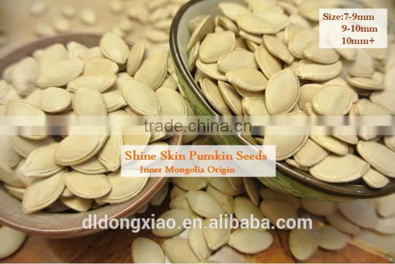 Organic Pumpkin Seeds in Shell