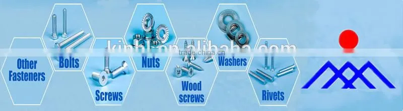high quality 304 316 stainless carriage bolts