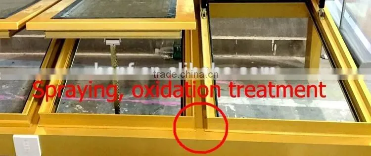 guang zhou Manufacturers selling custom 300MM--2100MM Aluminum alloy electric window