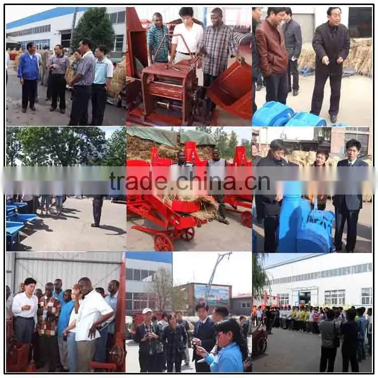 Professional Supplier New Designed Multifunctional Feed Mill Equipment