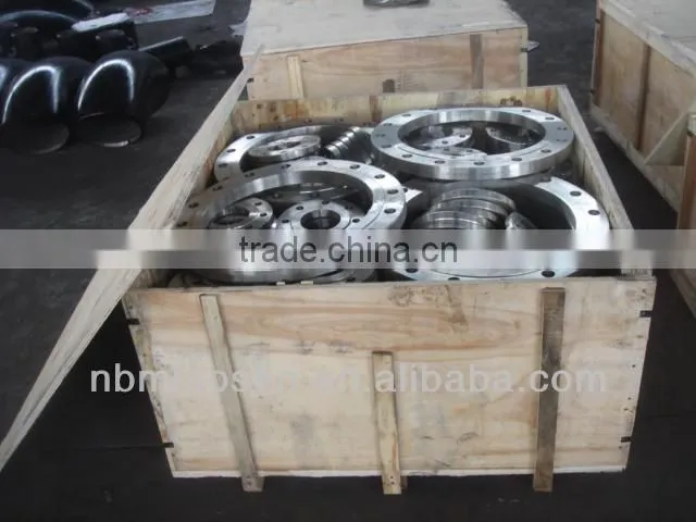 ANSI stainless steel forging flange