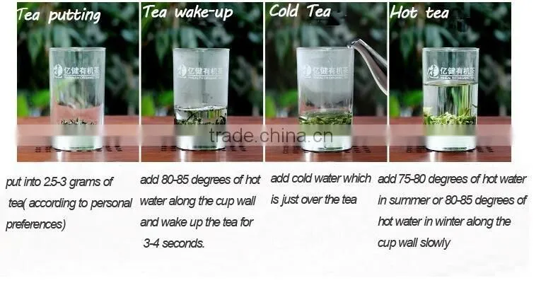 Yihealth Organic Green Tea TJ-GP with JAS Certificate