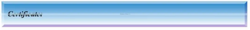 2014 new patent design stainless steel led solar wall light solar wedge light PIR solar PIR wall light