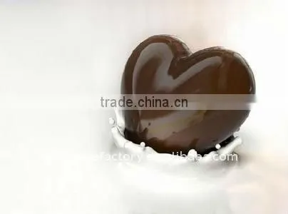 silicone EURO coin 3D chocolate mould