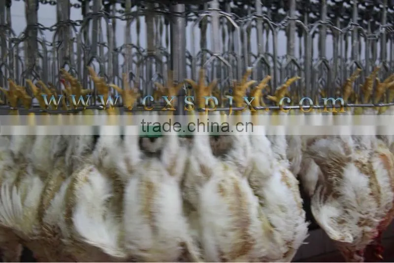 chicken slaughter conveying line/stainless steel hook