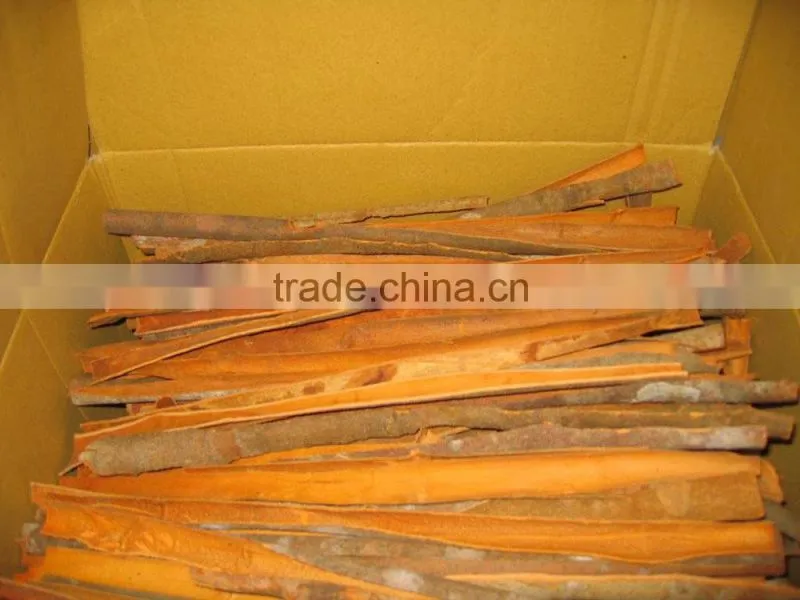 SUPPLY CLOVES (Call: +84 1687264621)