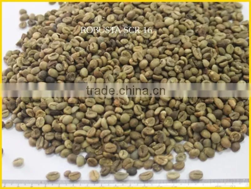 ROBUSTA COFFEE/ROBUSTA COFFEE FROM VIETNAM BEST PRICE SEASON 2016