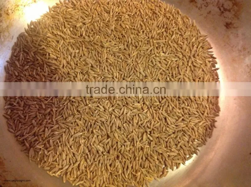 Cumin Seed European Quality