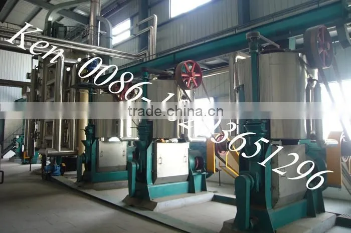 Groundnut oil production machine