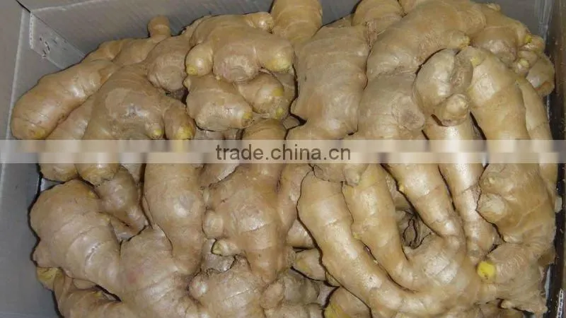Fresh semi-air dried ginger