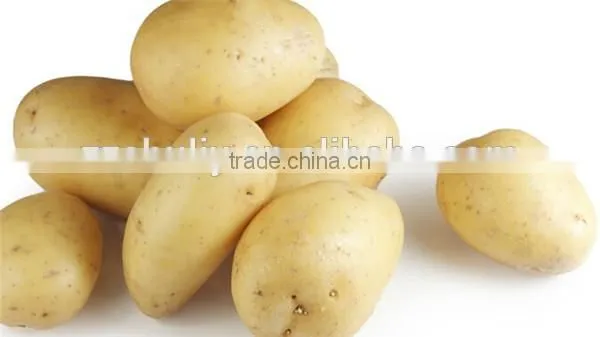 continuous screw taro washing peeling machine 0086-15037185761