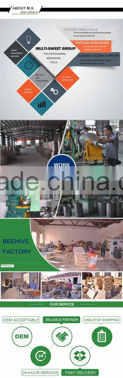 Queen Rearing Supplies European style Queen Bee Cage for Beekeeping