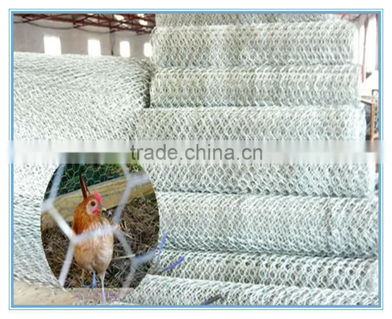 China cheap Hexagonal Wire Netting/ fence netten mesh/ animal catching netsing