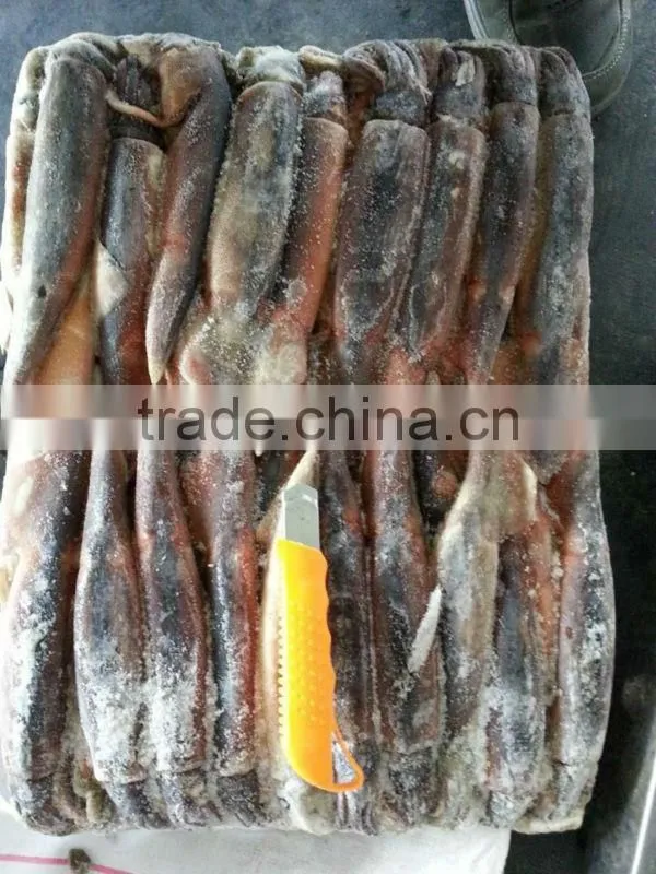 Frozen Whole Round Squid Todarodes Pacificus 200-300g