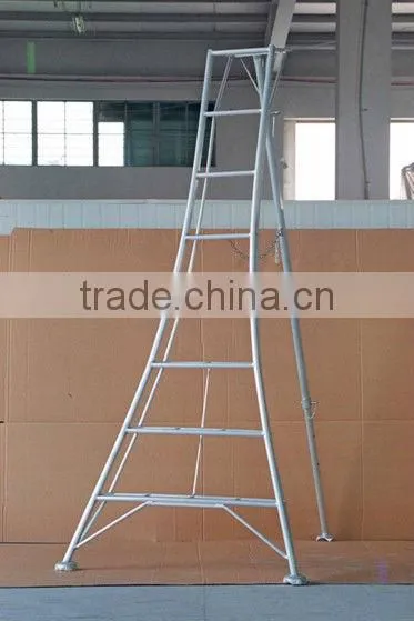 Decoration Step Ladder, Decorative Ladder, Adjustable Step Ladder