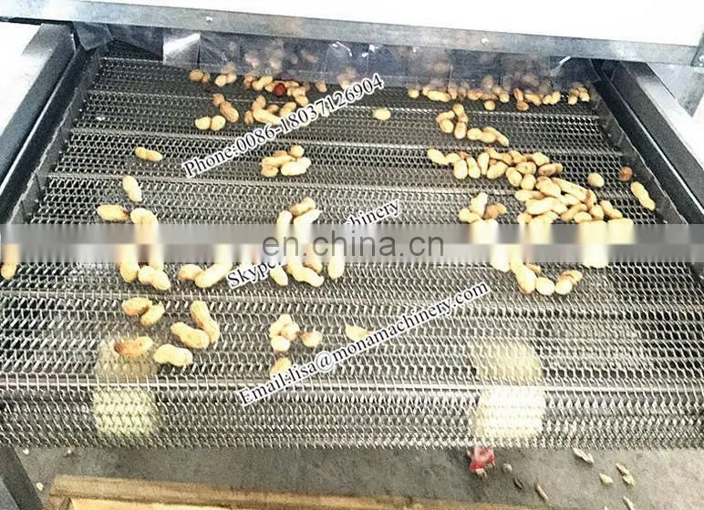 Prunes Multiple layer continuous type mesh belt dryer