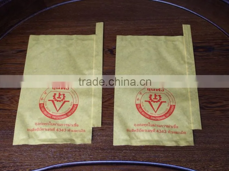 Mango fruit growing paper bag