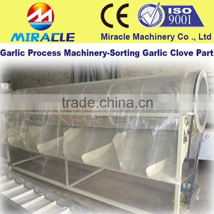 Low damage garlic cloves grading machine with lowest consumption to sort garlic by size