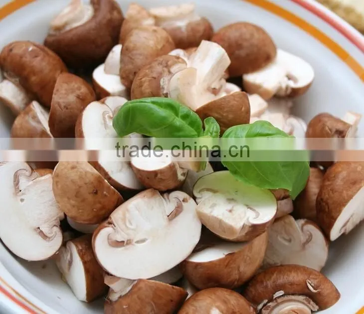 Bubble Type Kelp Washing Machine|Mushroom and Bean Sprout Cleaning Machine