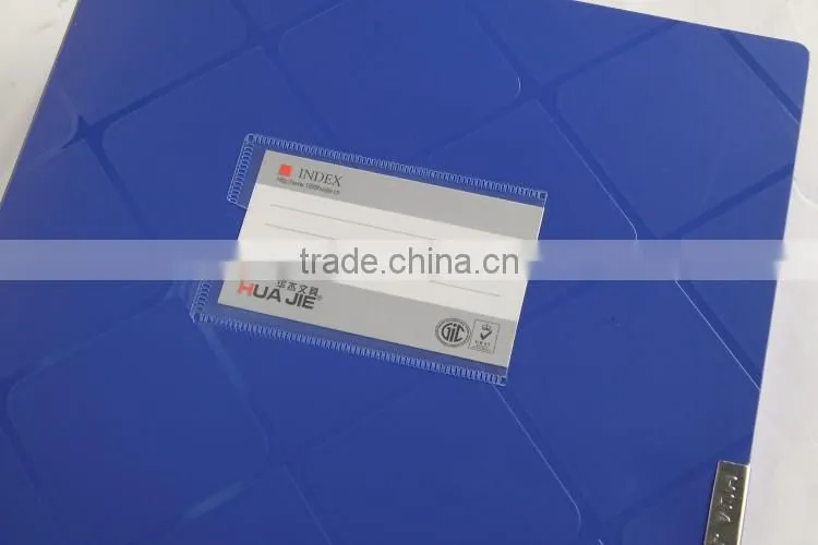 A4 Size 2.5 Inches Case Shape Poly Box File Type Plastic Document Box