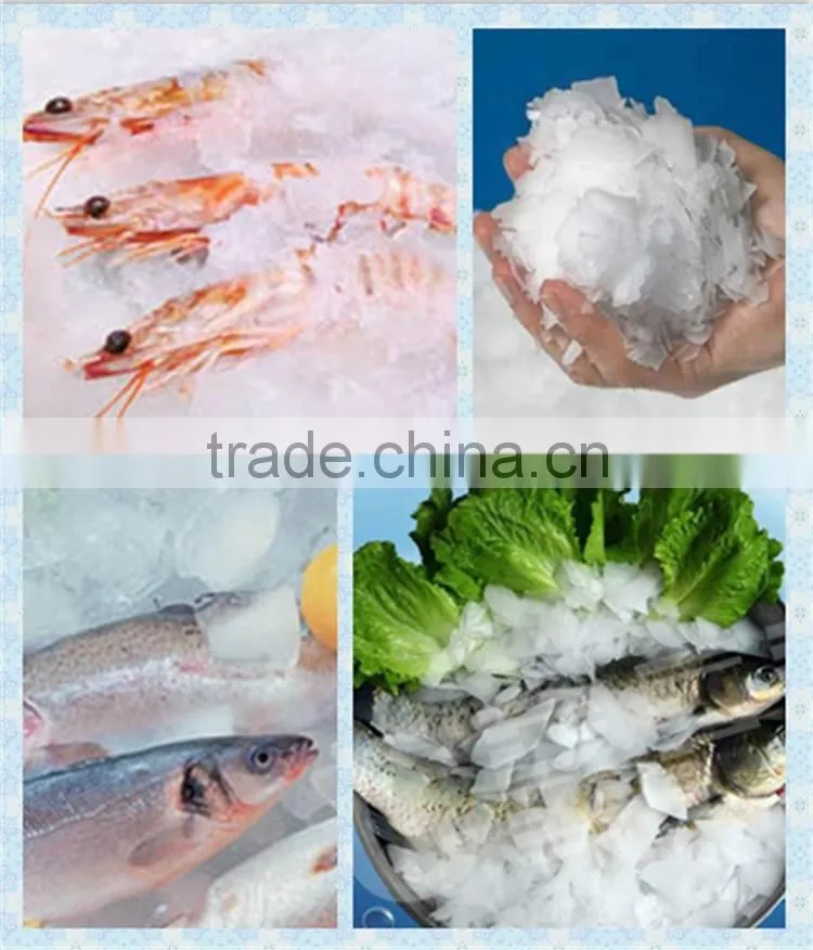 cscpower0.8T~15T/day seawater flake ice evaporators