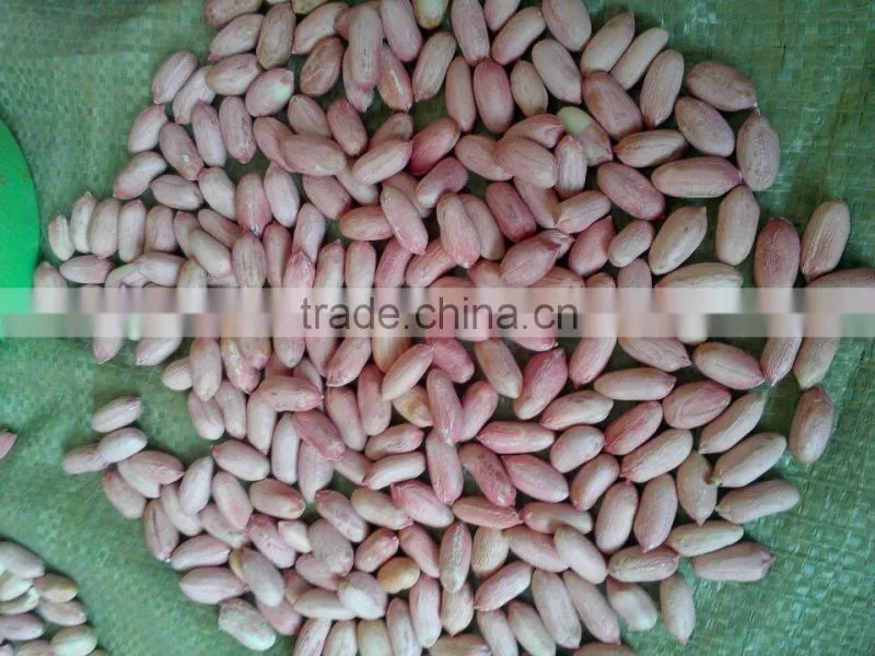 2014 new Raw LuHUA Peanuts24/28 from sandong