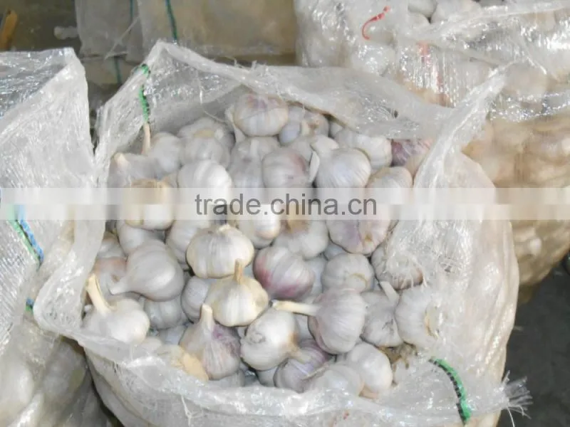 CHINA FRESH GARLIC