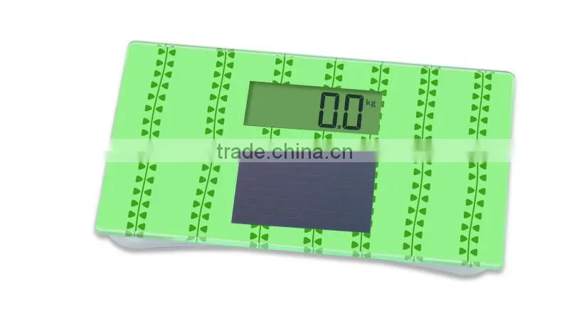 Solar Portable Personal Scale