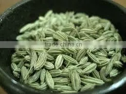 Fennel Seed Oil