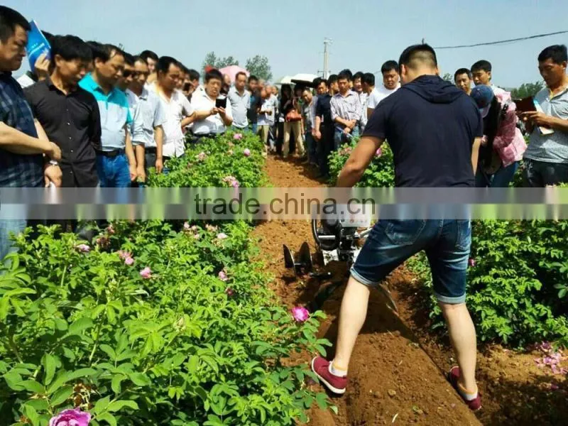 China suppliers strawberry soil cultivation machine oversea service equipment