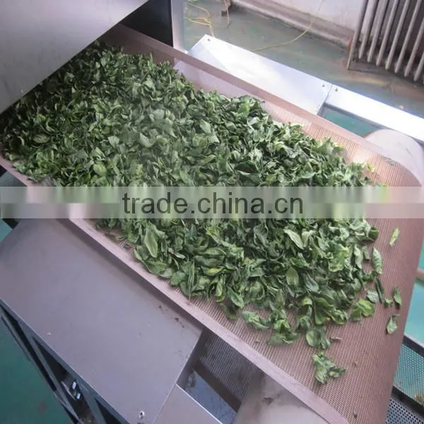 tunnel type industrial micrwave leaves drying sterilizing machine-enzyme inactivate machine