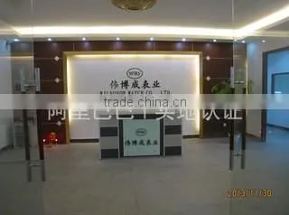 Shenzhen Wilboson Watch Co., Ltd. company overview - view 1
