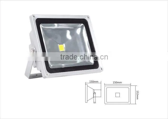 LED FloodLight cob 100w