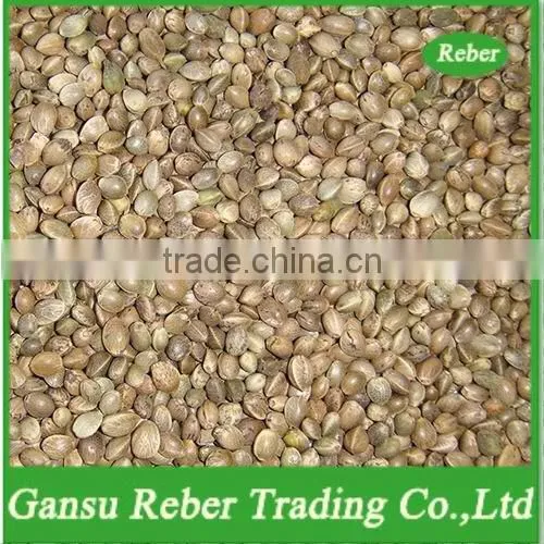 High quality of Bird Feed, Hempseeds