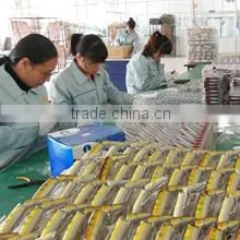 Weihai Longyuan Fishing Tackle Co., Ltd. company overview - view 1